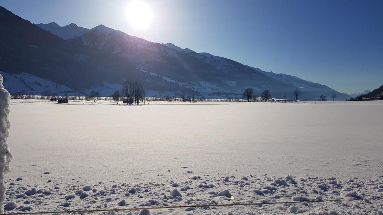 Chalet Am Park Piesendorf Εξωτερικό φωτογραφία