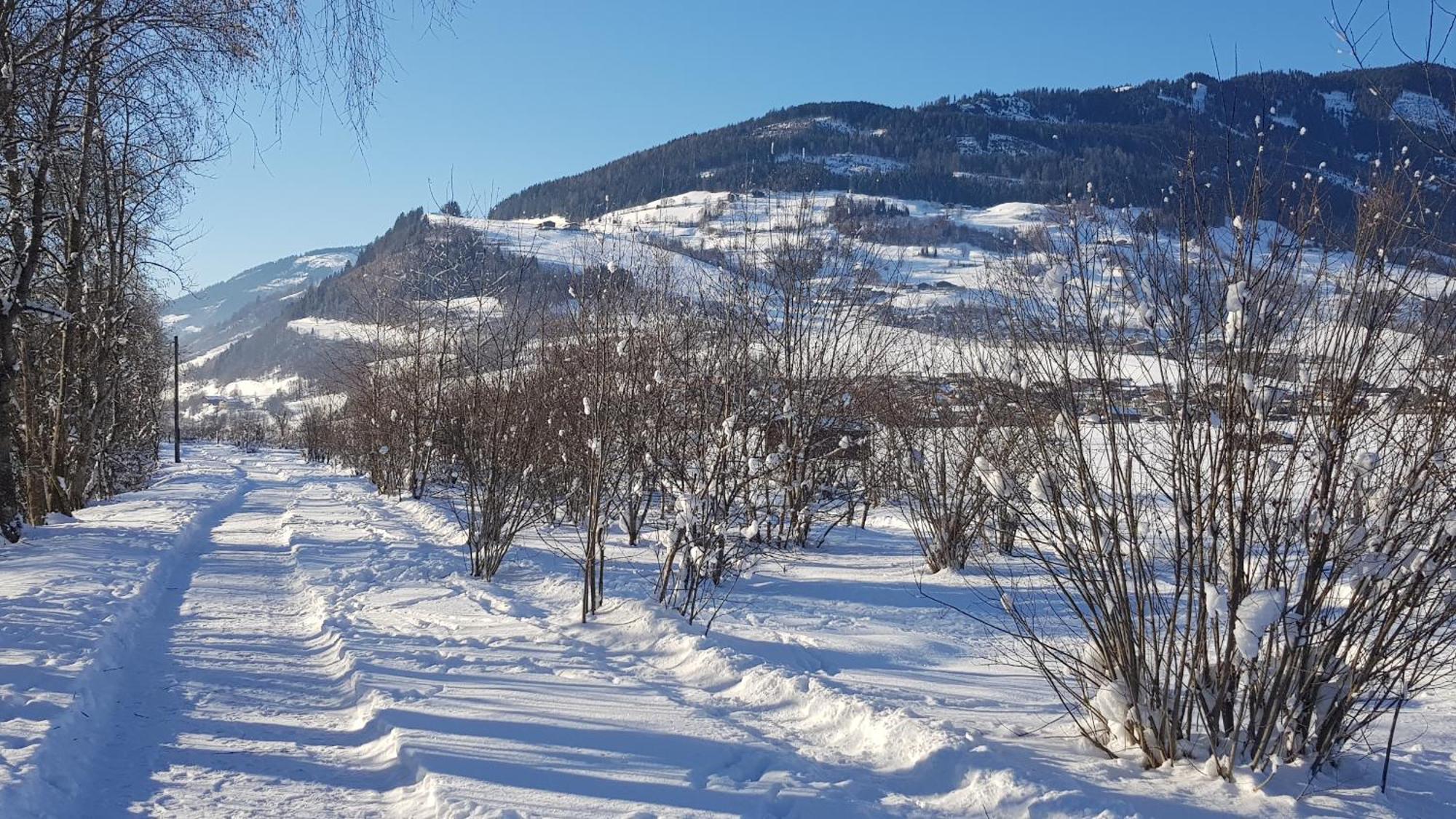Chalet Am Park Piesendorf Δωμάτιο φωτογραφία